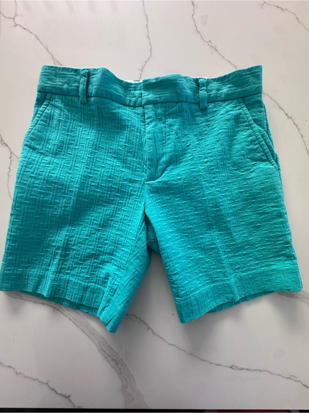 MR TURK Teal Textured Women’s Shorts
